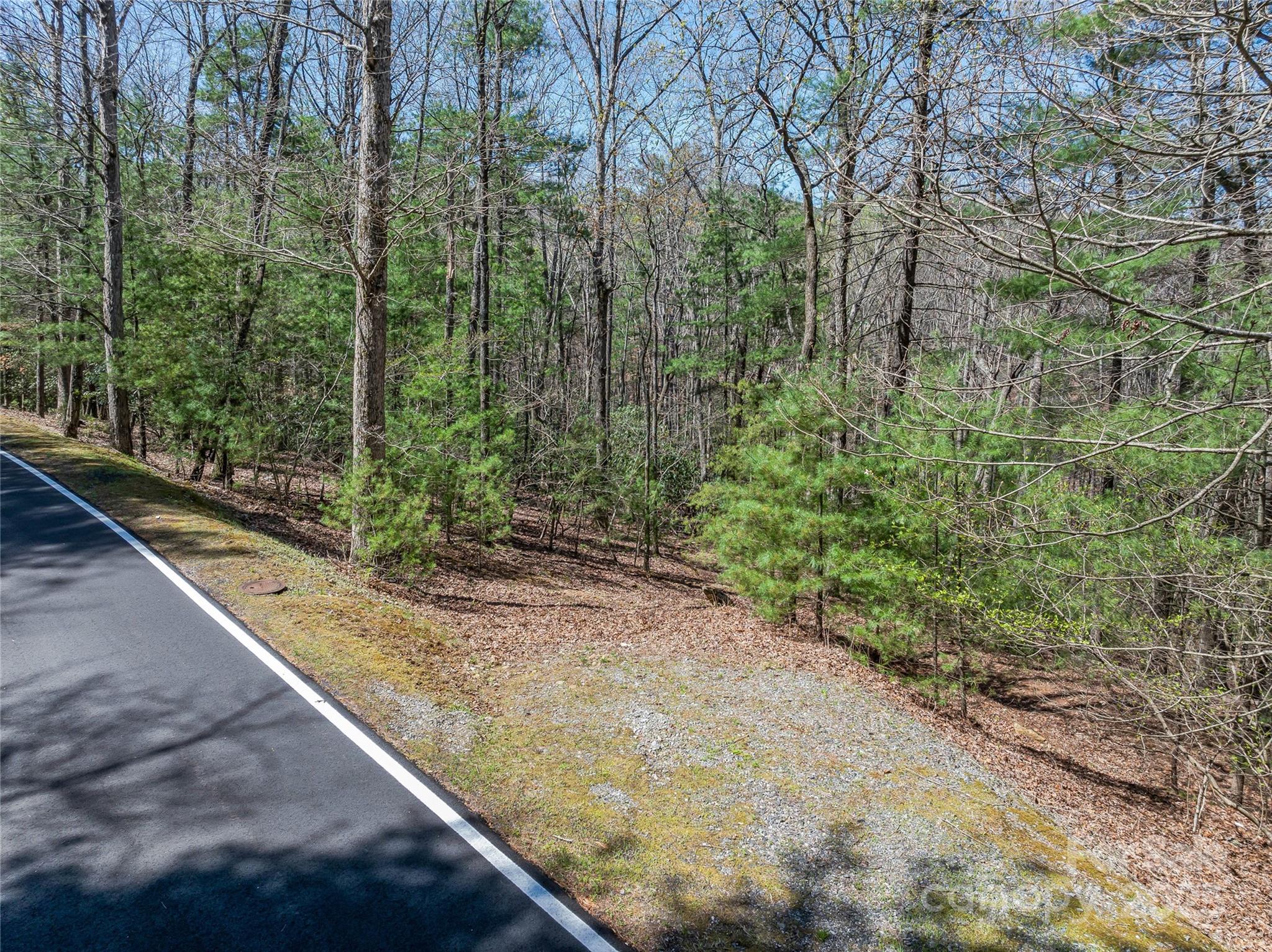 37 Dividing Ridge Trail, Unit 12 Arden, NC 28704 - Photo 11 of 20