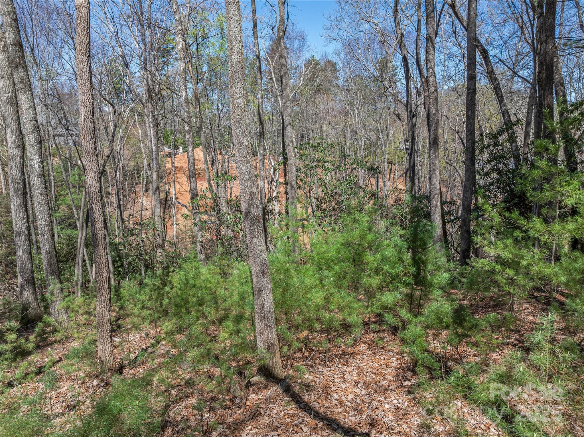 37 Dividing Ridge Trail, Unit 12 Arden, NC 28704 - Photo 17 of 20