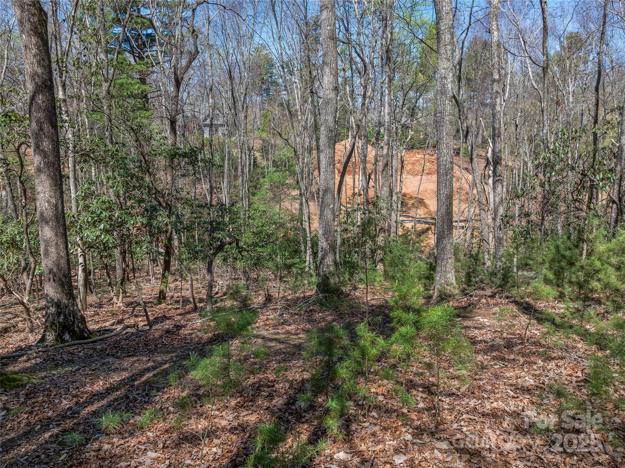 37 Dividing Ridge Trail, Unit 12 Arden, NC 28704 - Photo 18 of 20