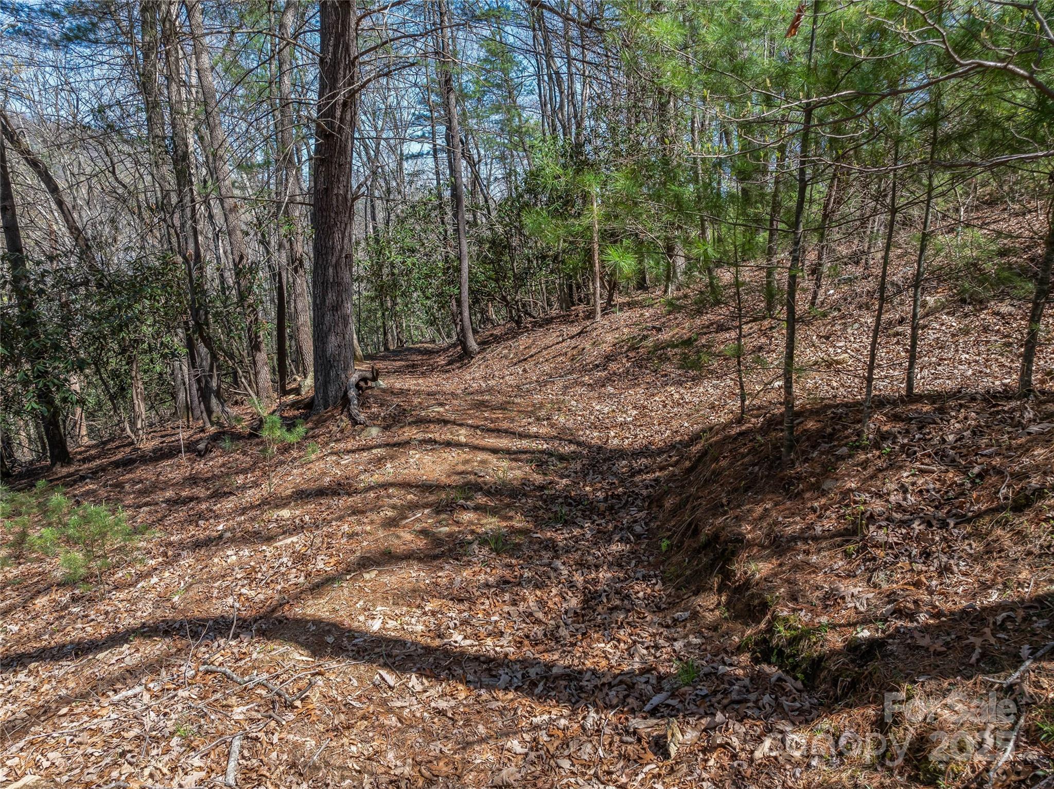 37 Dividing Ridge Trail, Unit 12 Arden, NC 28704 - Photo 3 of 20
