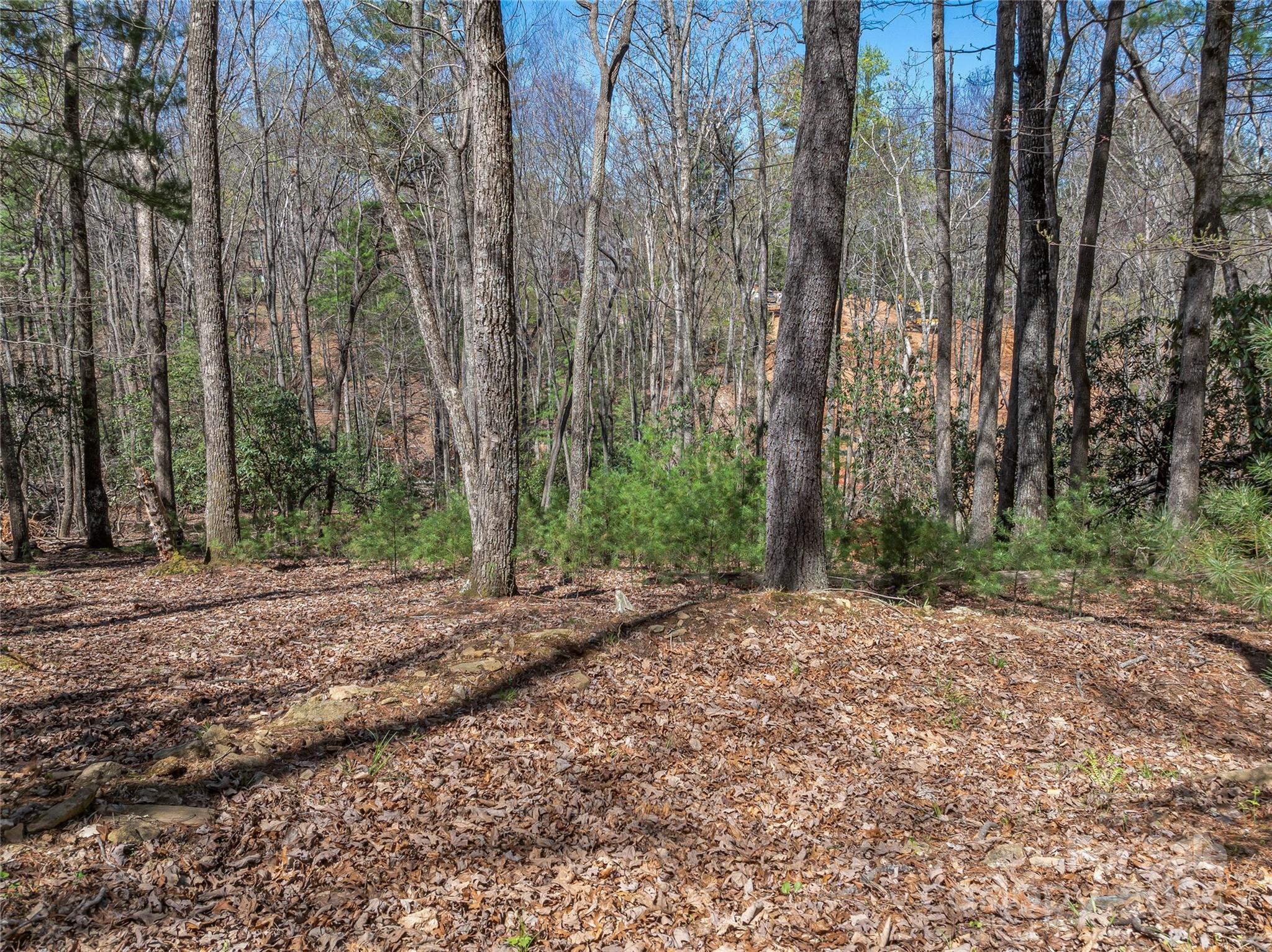 37 Dividing Ridge Trail, Unit 12 Arden, NC 28704 - Photo 4 of 20