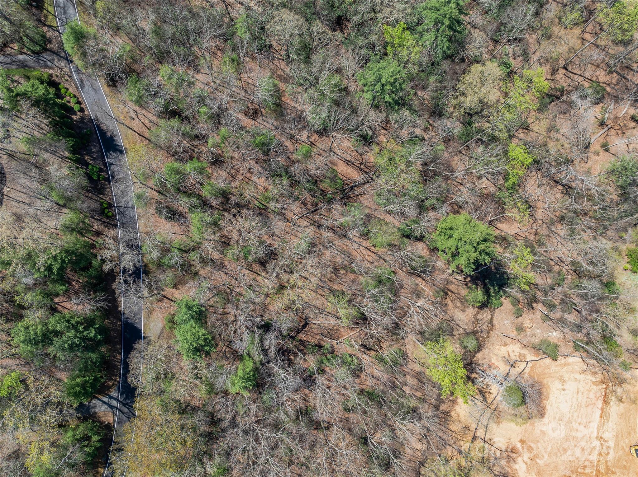 37 Dividing Ridge Trail, Unit 12 Arden, NC 28704 - Photo 5 of 20