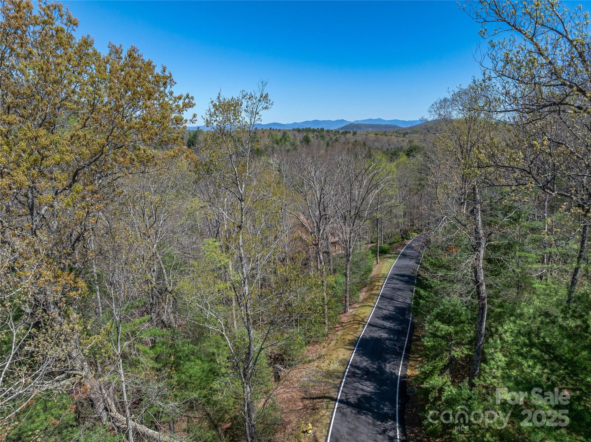 37 Dividing Ridge Trail, Unit 12 Arden, NC 28704 - Photo 7 of 20
