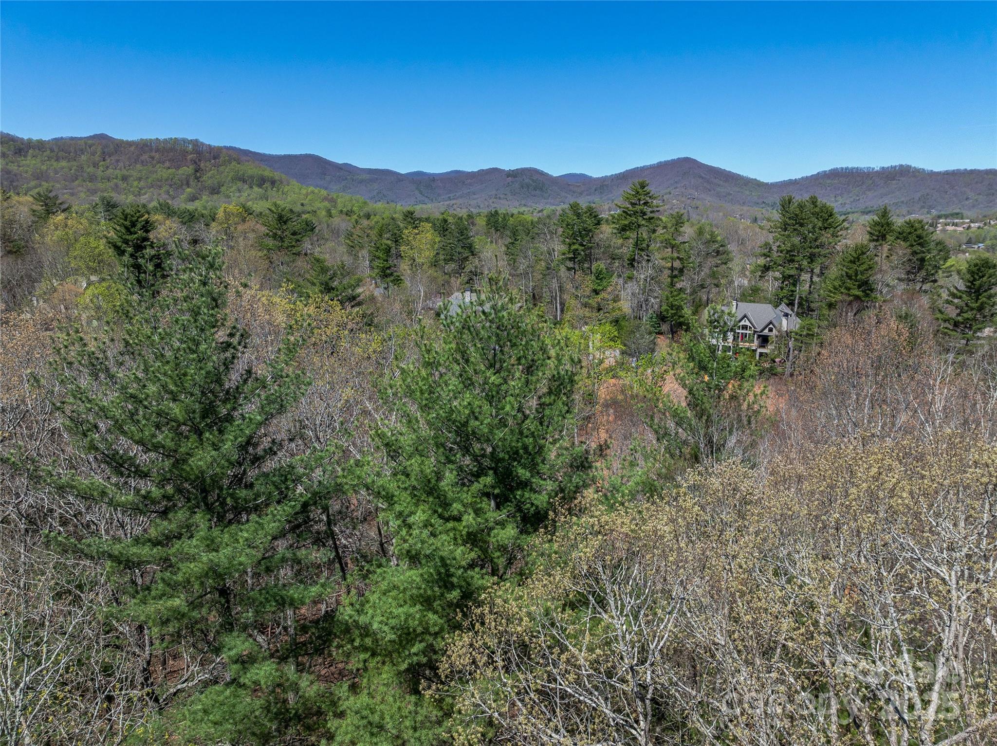 37 Dividing Ridge Trail, Unit 12 Arden, NC 28704 - Photo 9 of 20