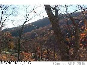 47 Red Oak Forest Road Fairview, NC 28730 - Photo 5 of 8 Gallery Image 5