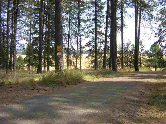 0 West Akers Lane Colbert, WA 99005 - Photo 1 of 8 Gallery Image 1
