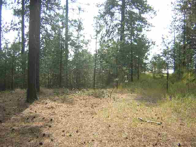 0 West Akers Lane Colbert, WA 99005 - Photo 2 of 8 Gallery Image 2