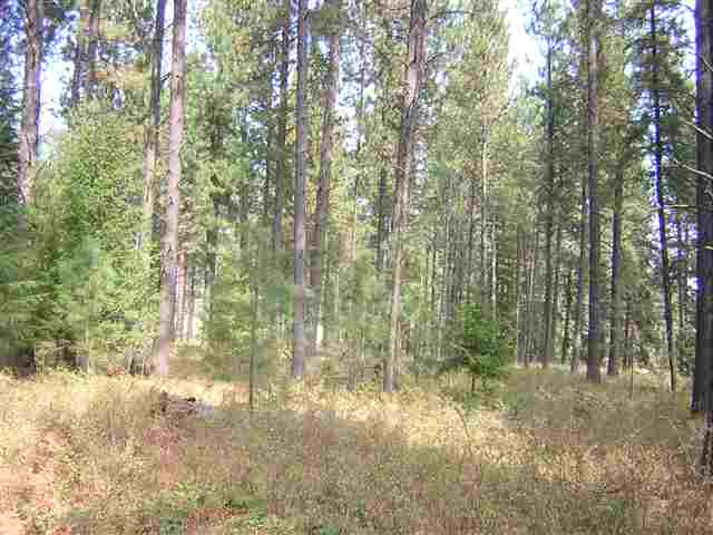 0 West Akers Lane Colbert, WA 99005 - Photo 3 of 8 Gallery Image 3