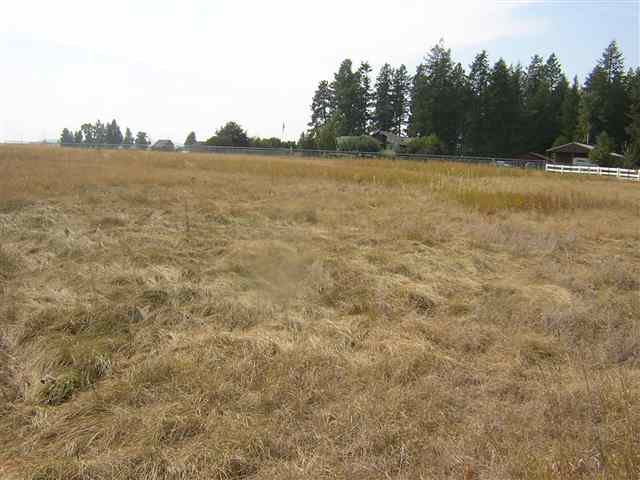 0 West Akers Lane Colbert, WA 99005 - Photo 5 of 8 Gallery Image 5