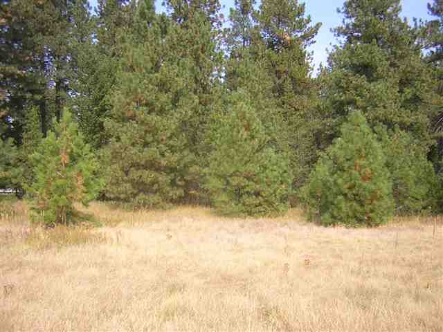 0 West Akers Lane Colbert, WA 99005 - Photo 6 of 8 Gallery Image 6