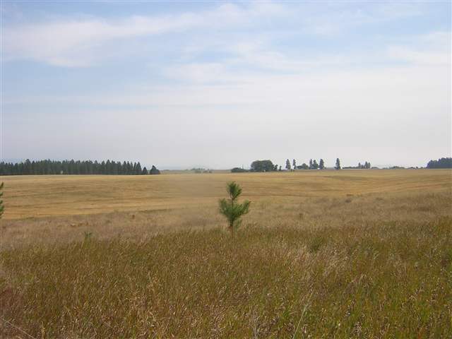0 West Akers Lane Colbert, WA 99005 - Photo 7 of 8 Gallery Image 7