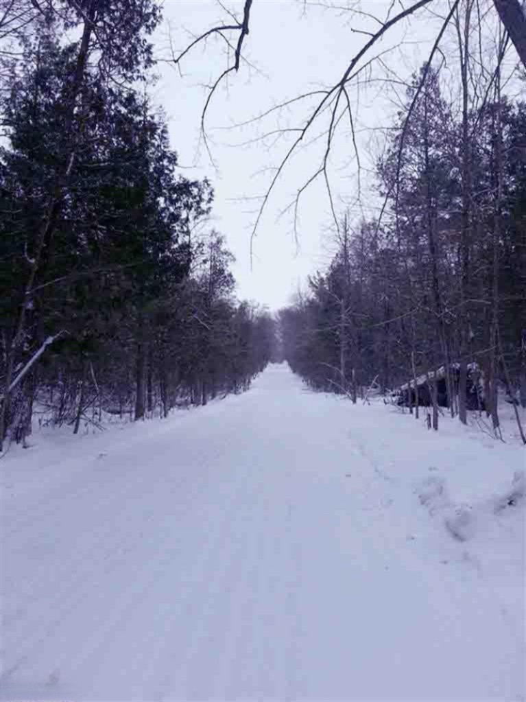 7363 West Edgar Road Six Lakes, MI 48886 - Photo 22 of 23 Additional Photo