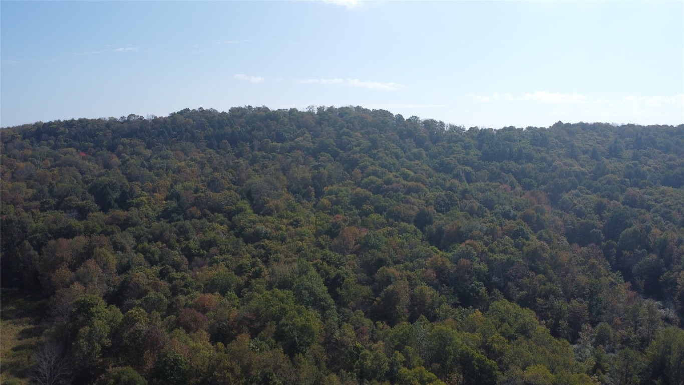 132 Lumber Road Deposit, NY 13754 - Photo 4 of 46 Gallery Image 4