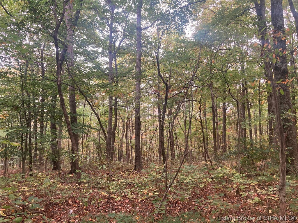 Tract 3 East Pilot Knob Road Milltown, IN 47145 - Photo 1 of 3