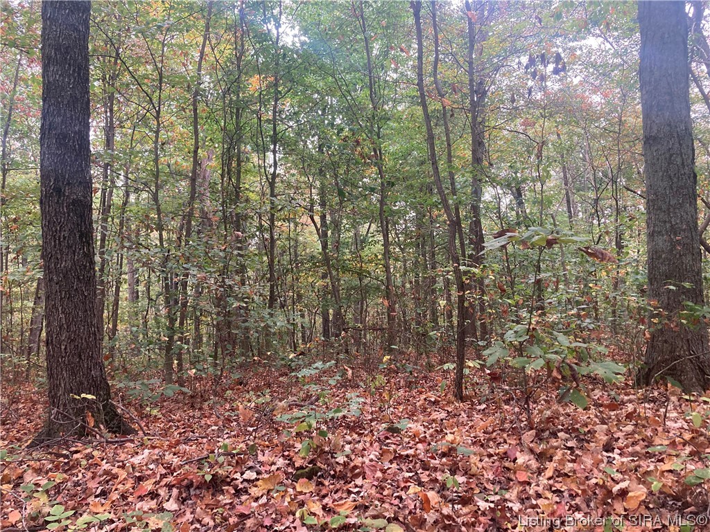 Tract 3 East Pilot Knob Road Milltown, IN 47145 - Photo 3 of 3