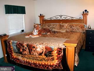 250 Rutgers Avenue Pemberton, NJ 08068 - Photo 6 of 6