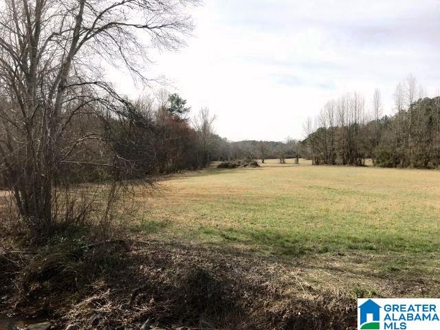 824 County Road 36 Heflin, AL 36264 - Photo 12 of 26