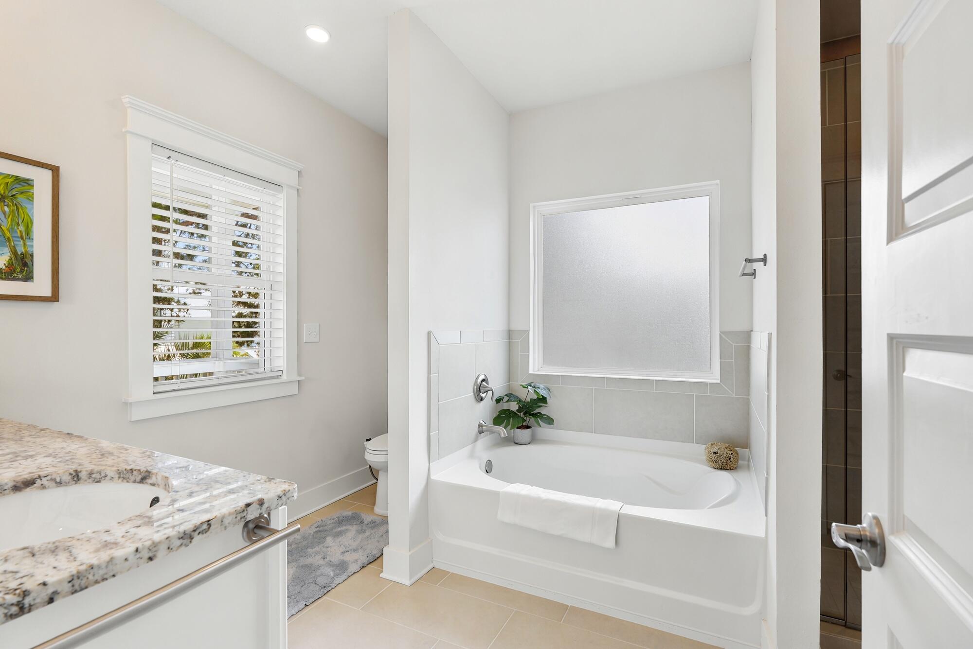 338 Grande Pointe Circle Inlet Beach, FL 32461 - Photo 23 of 43 Primary Ensuite