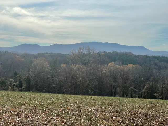 a view of a field with a mountain in the background
