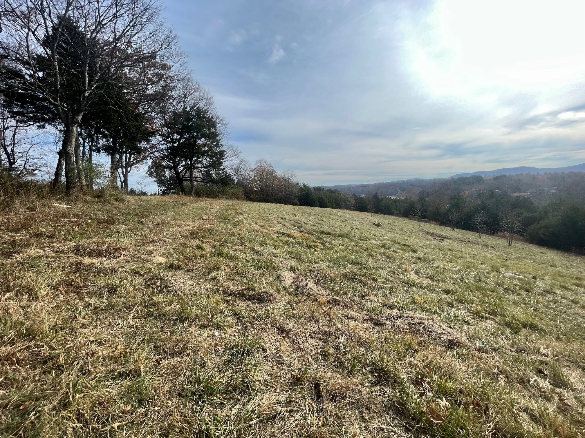 0 Quiet Cove Way Dandridge, TN 37725 - Photo 11 of 20 a view of dirt field and trees around