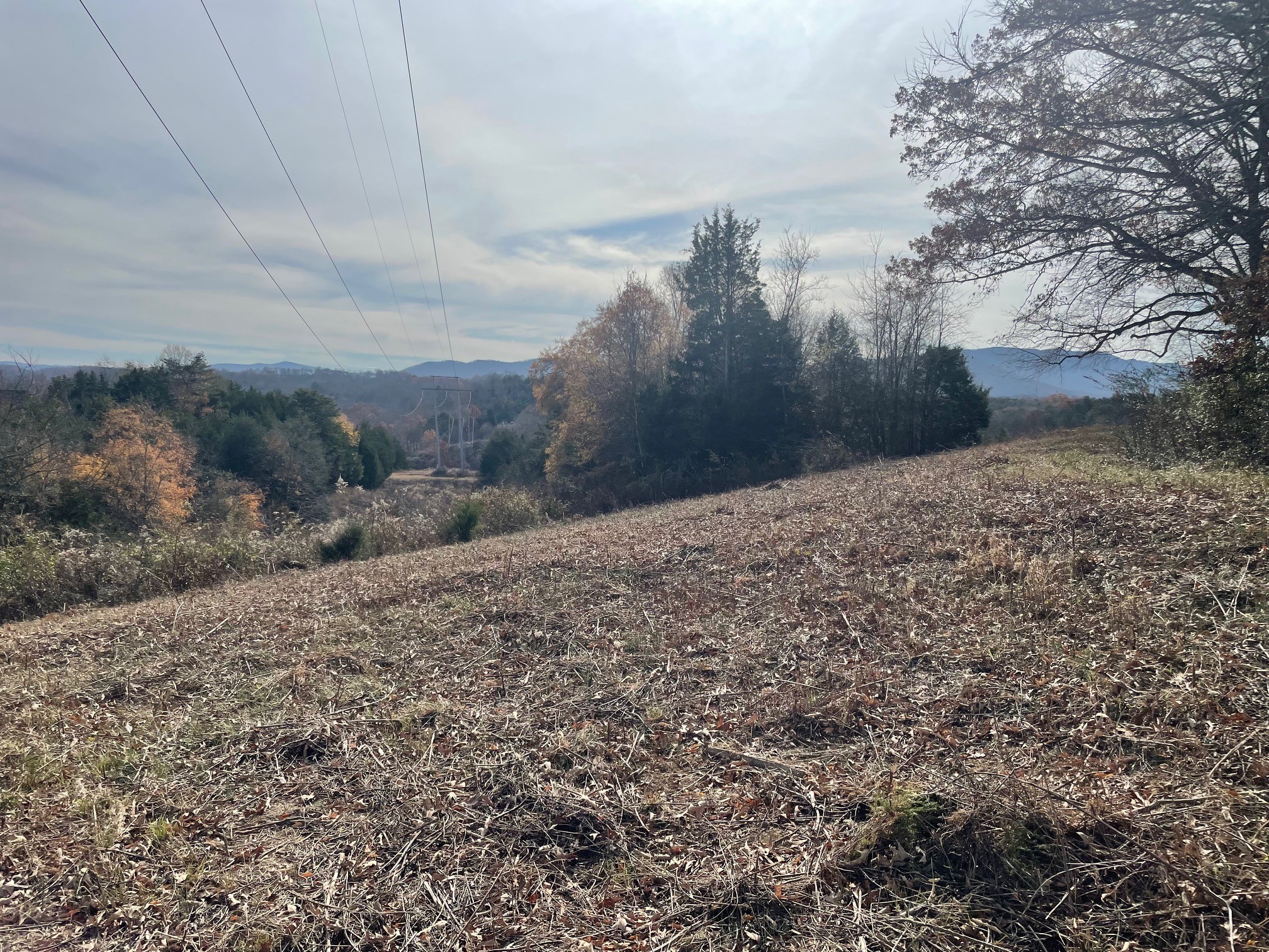 0 Quiet Cove Way Dandridge, TN 37725 - Photo 12 of 20 a view of a backyard of the house