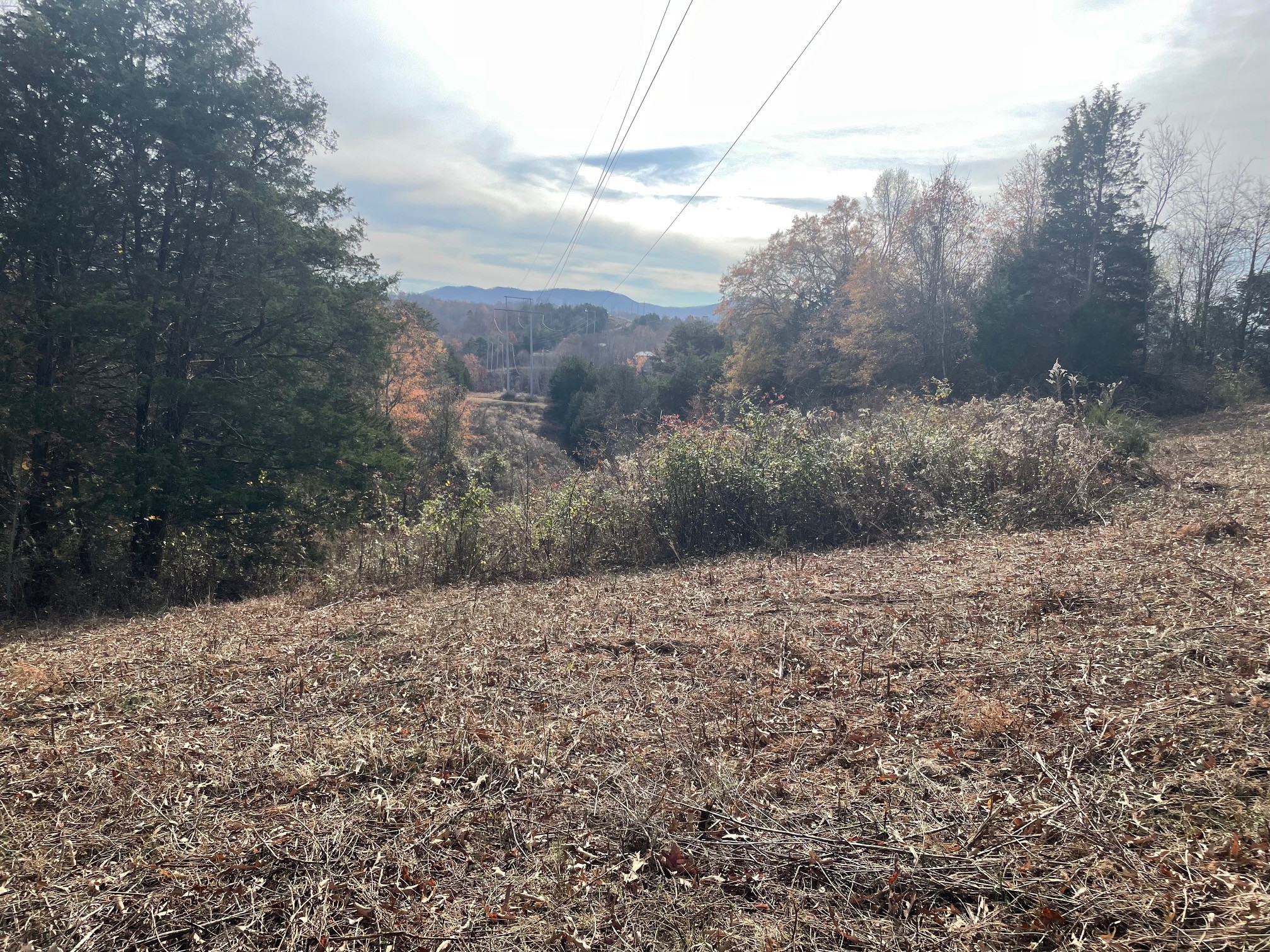 0 Quiet Cove Way Dandridge, TN 37725 - Photo 14 of 20 a view of a yard