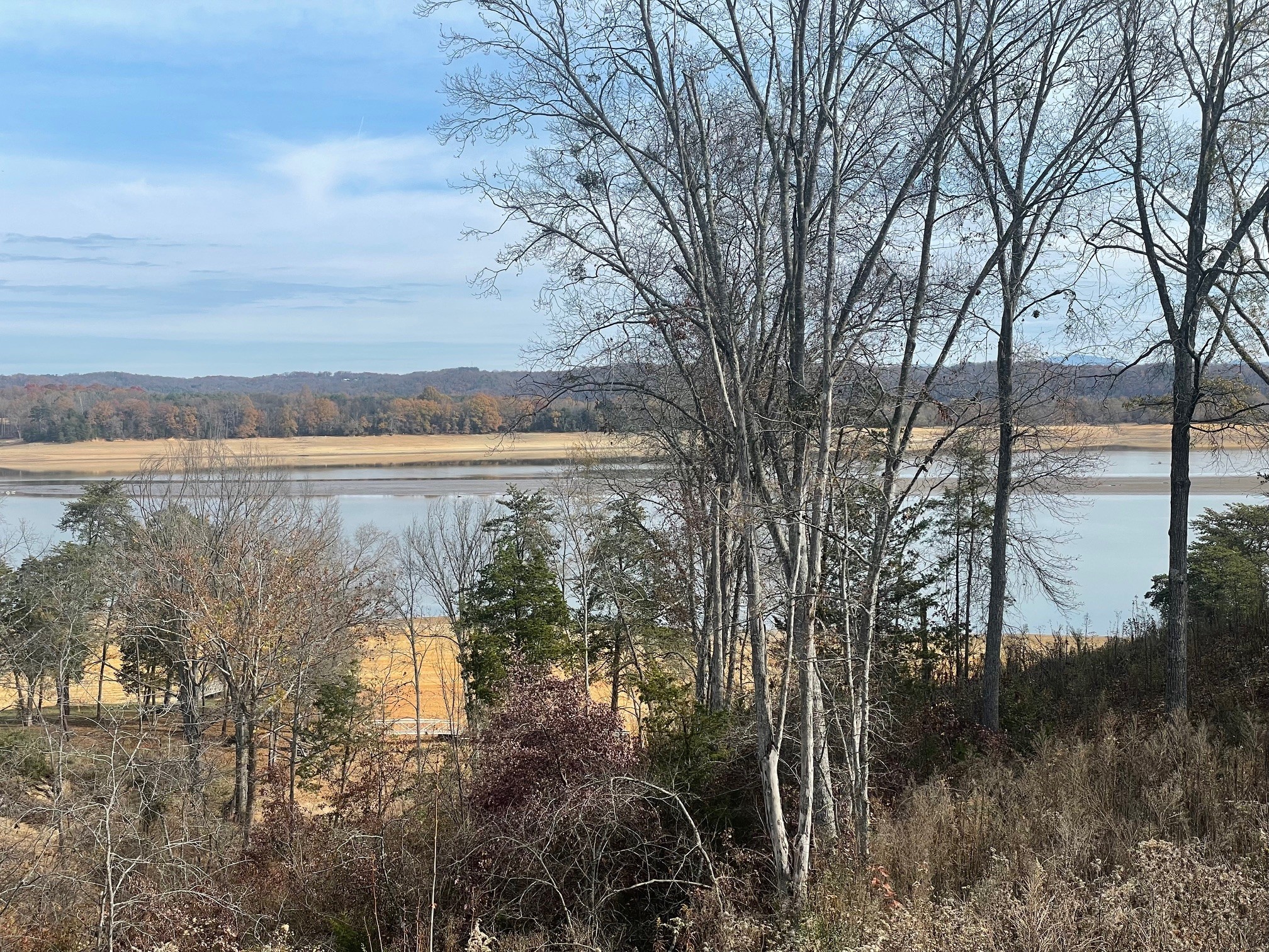 0 Quiet Cove Way Dandridge, TN 37725 - Photo 15 of 20 a view of a yard next to a lake view