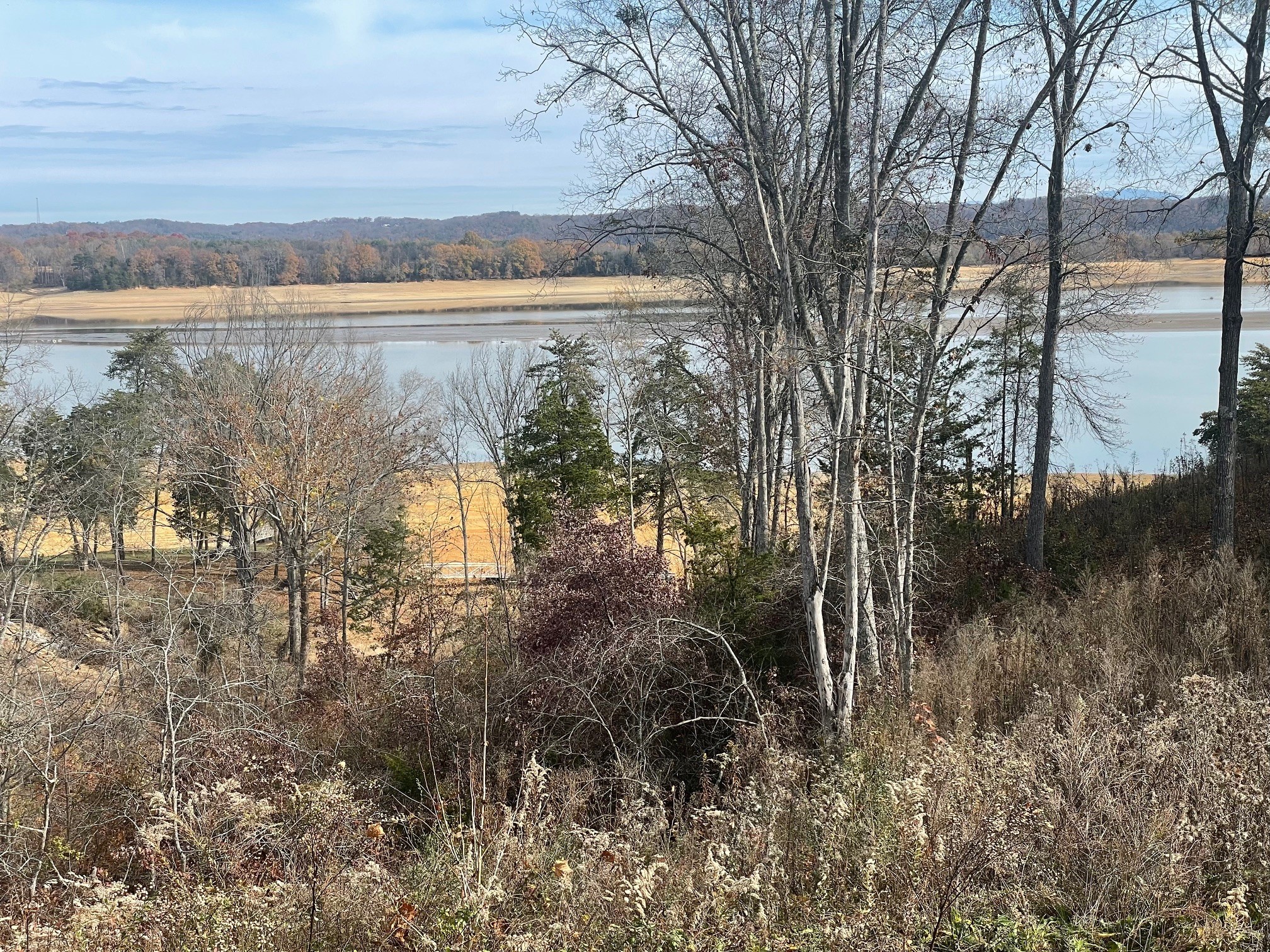 0 Quiet Cove Way Dandridge, TN 37725 - Photo 16 of 20 a view of a lake from a yard