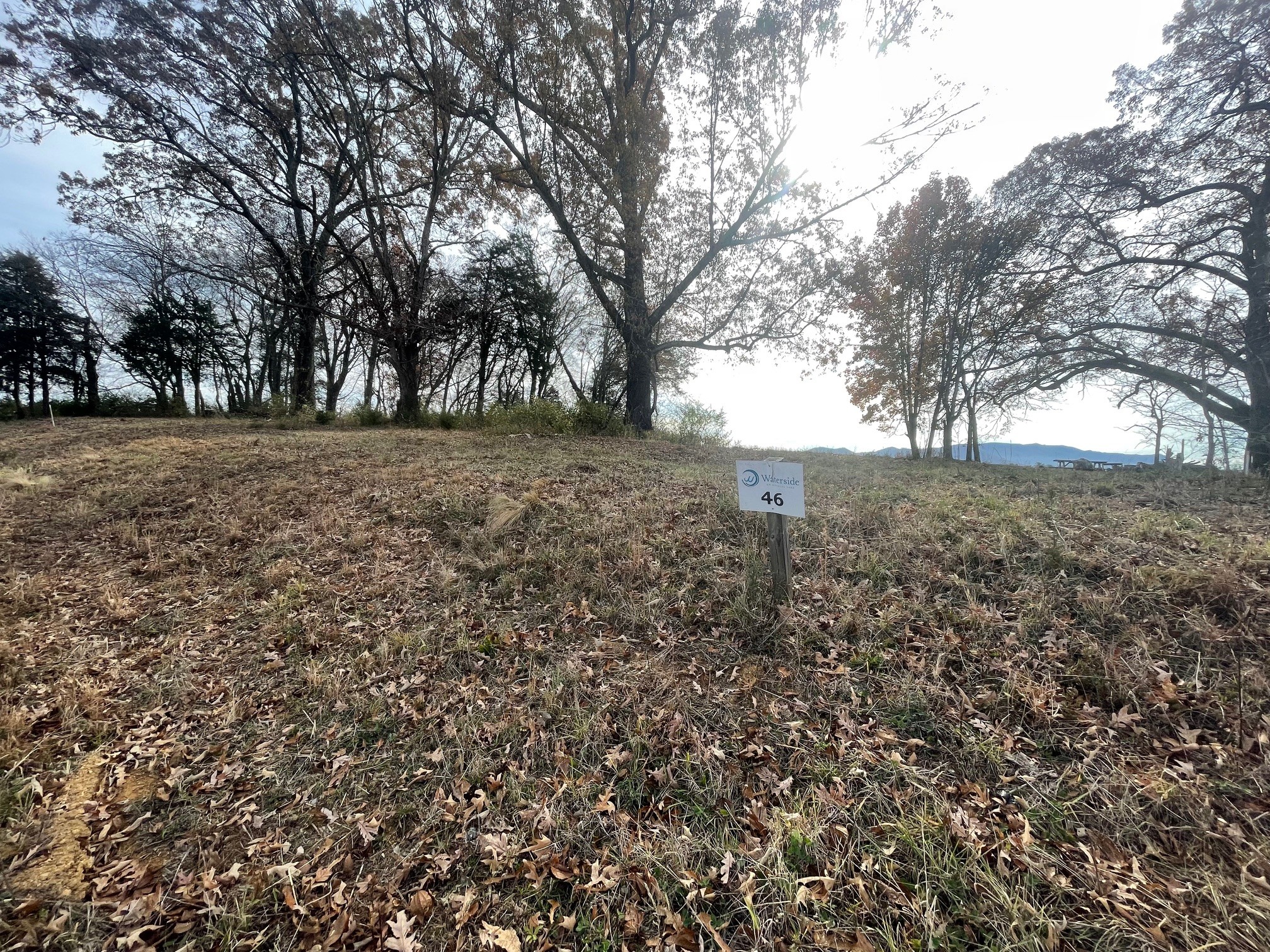 0 Quiet Cove Way Dandridge, TN 37725 - Photo 5 of 20 a view of large trees with large trees