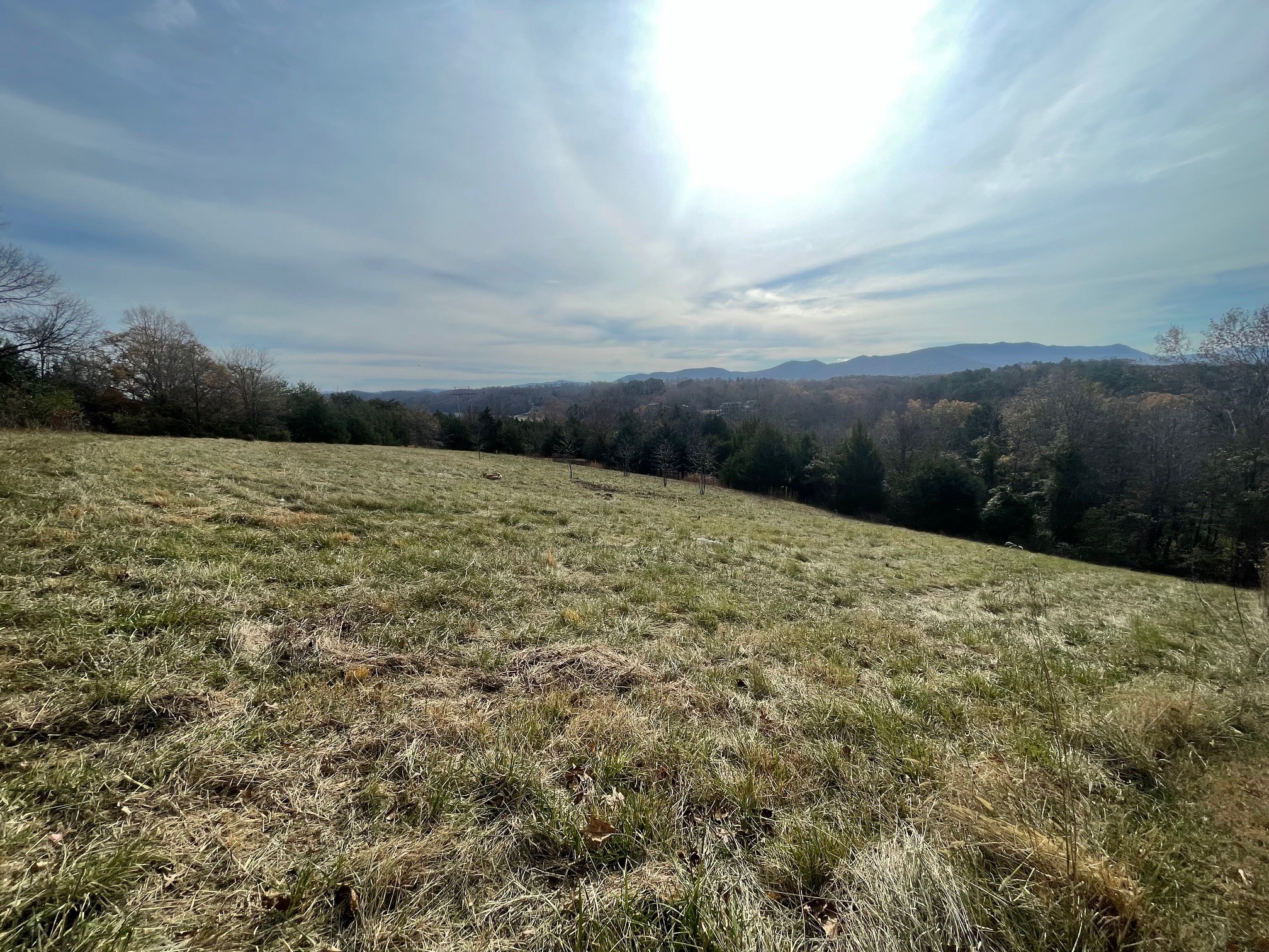 0 Quiet Cove Way Dandridge, TN 37725 - Photo 9 of 20