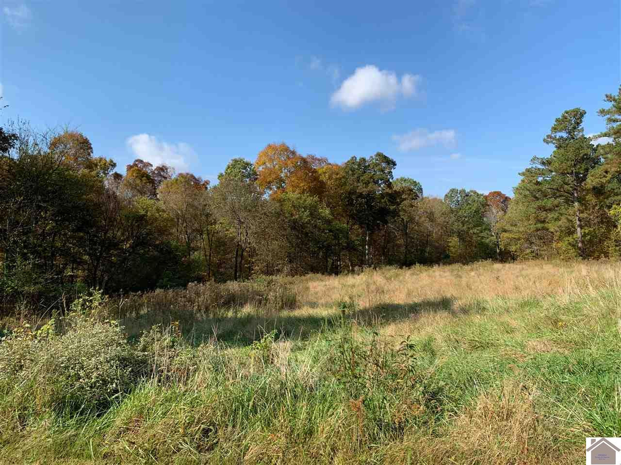 921 Tubbs Road Benton, KY 42025 - Photo 1 of 1 Photo 1