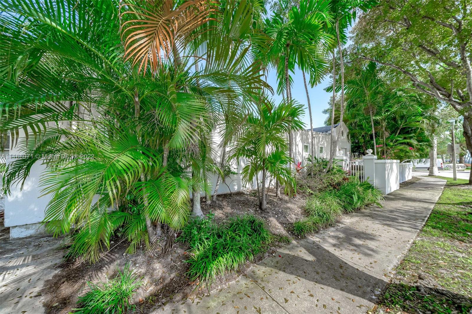 3571 Fair Isle Street Miami, FL 33133 - Photo 36 of 38 a view of a yard with plants and large trees