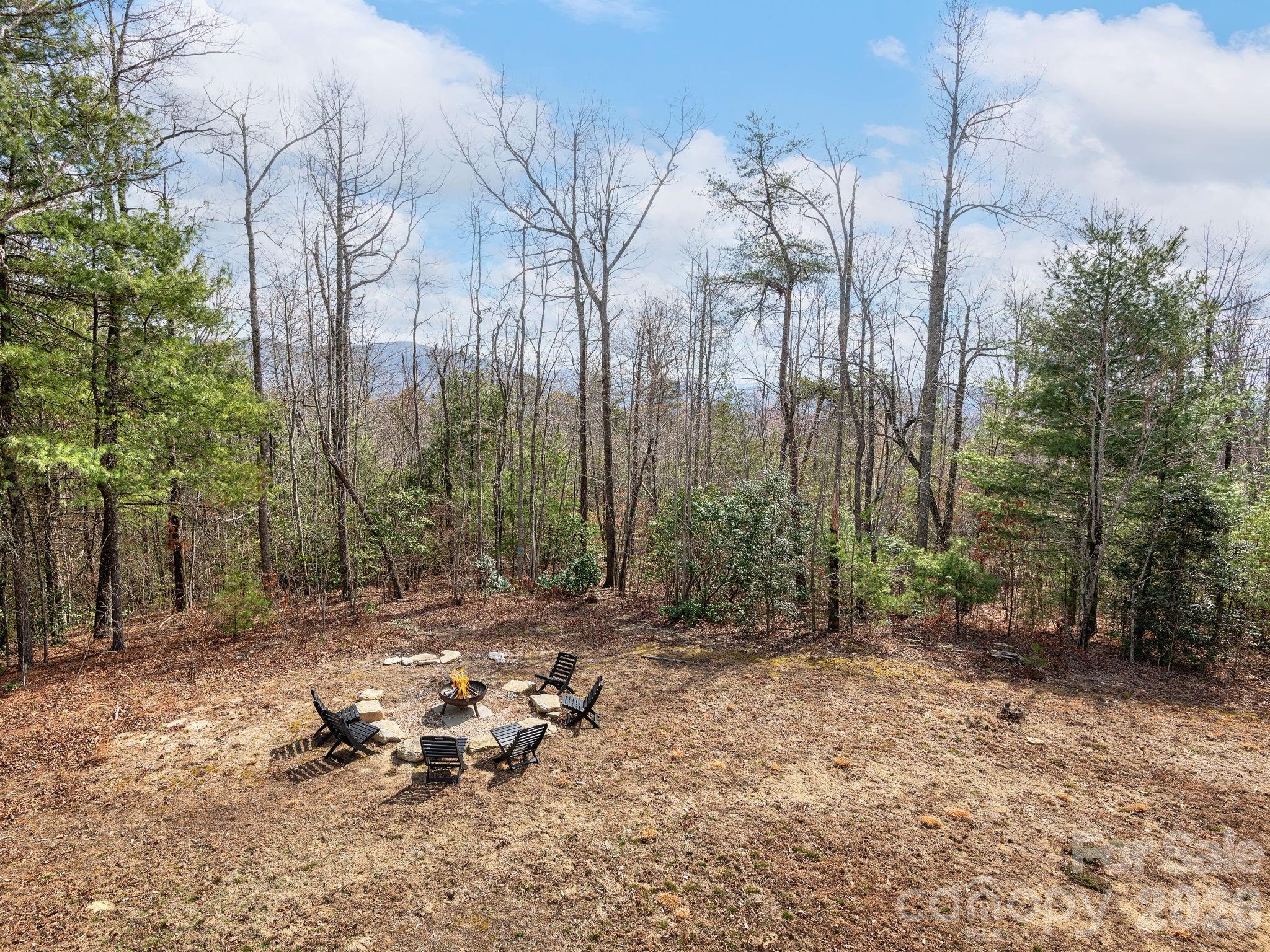 2201 Bulling Creek Road Hendersonville, NC 28739 - Photo 16 of 47 a backyard of a house with lots of green space