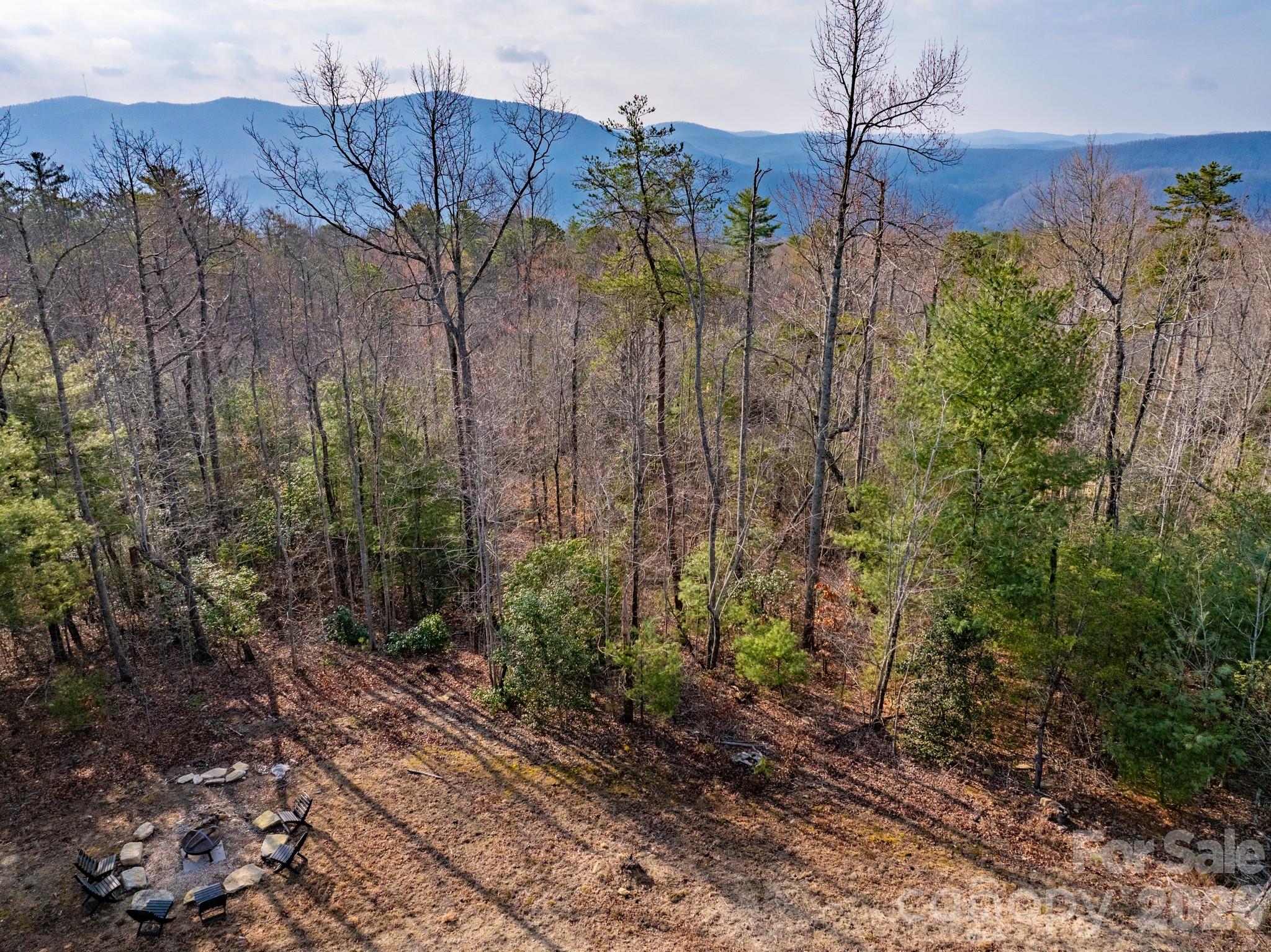 2201 Bulling Creek Road Hendersonville, NC 28739 - Photo 32 of 47 a view of a house with a forest