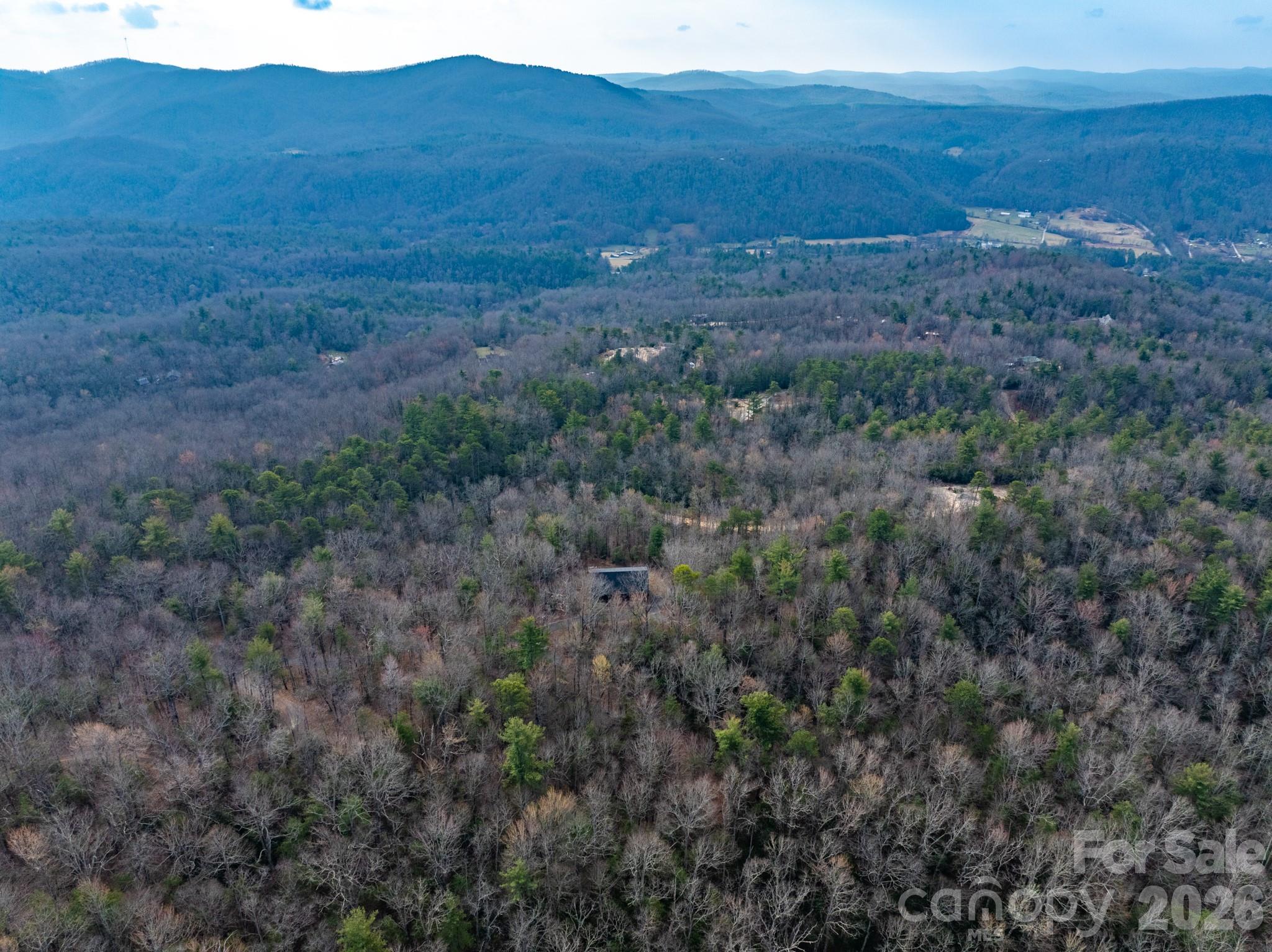 2201 Bulling Creek Road Hendersonville, NC 28739 - Photo 37 of 47 a view of a large yard with lots of bushes