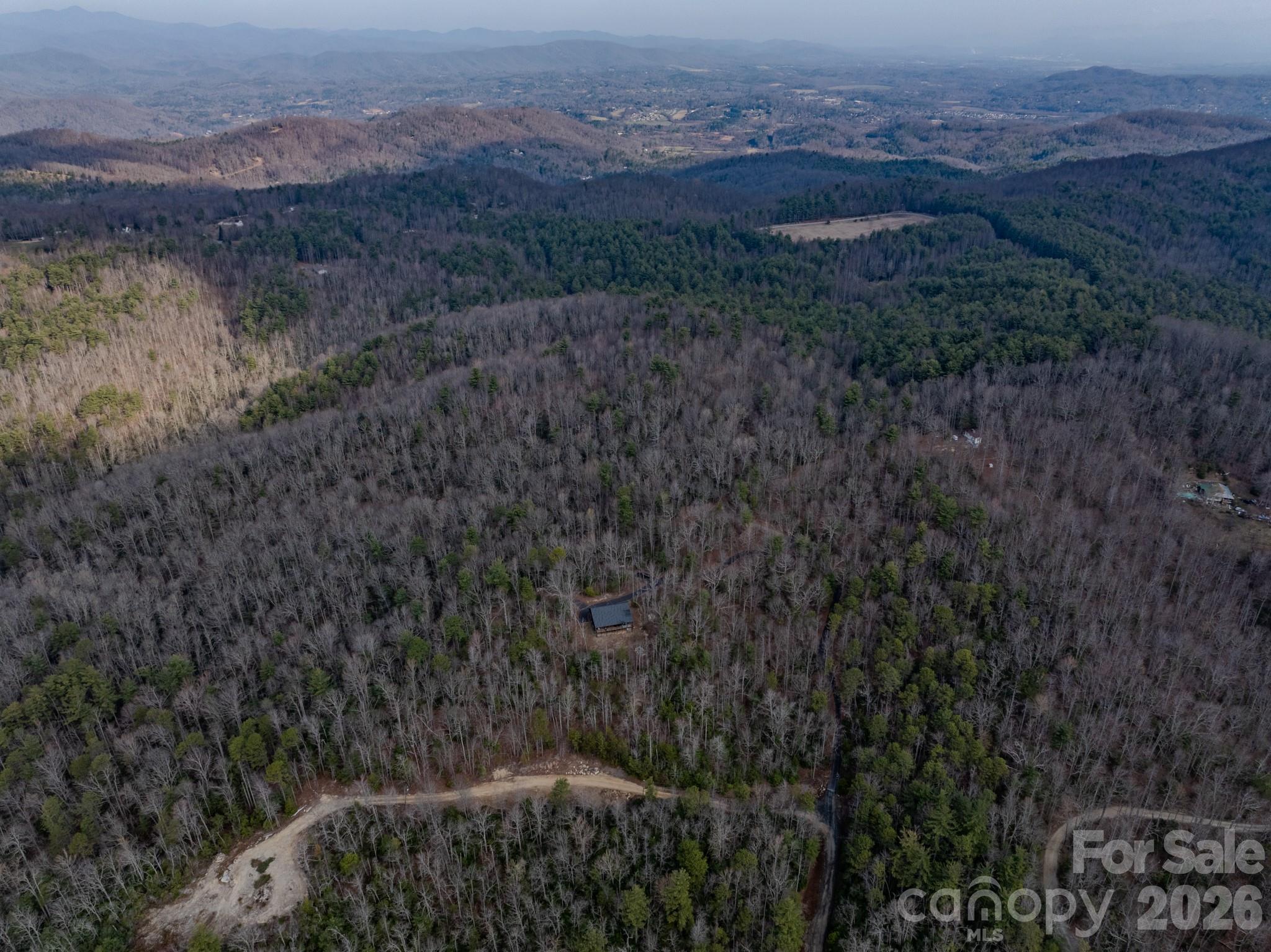 2201 Bulling Creek Road Hendersonville, NC 28739 - Photo 38 of 47 a view of a yard with a sink