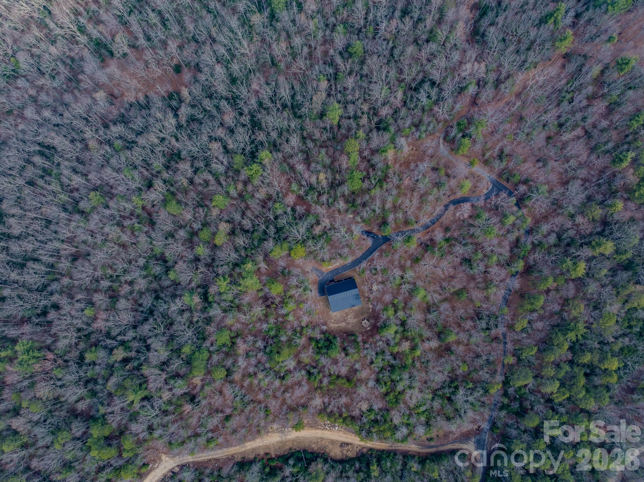 2201 Bulling Creek Road Hendersonville, NC 28739 - Photo 39 of 47