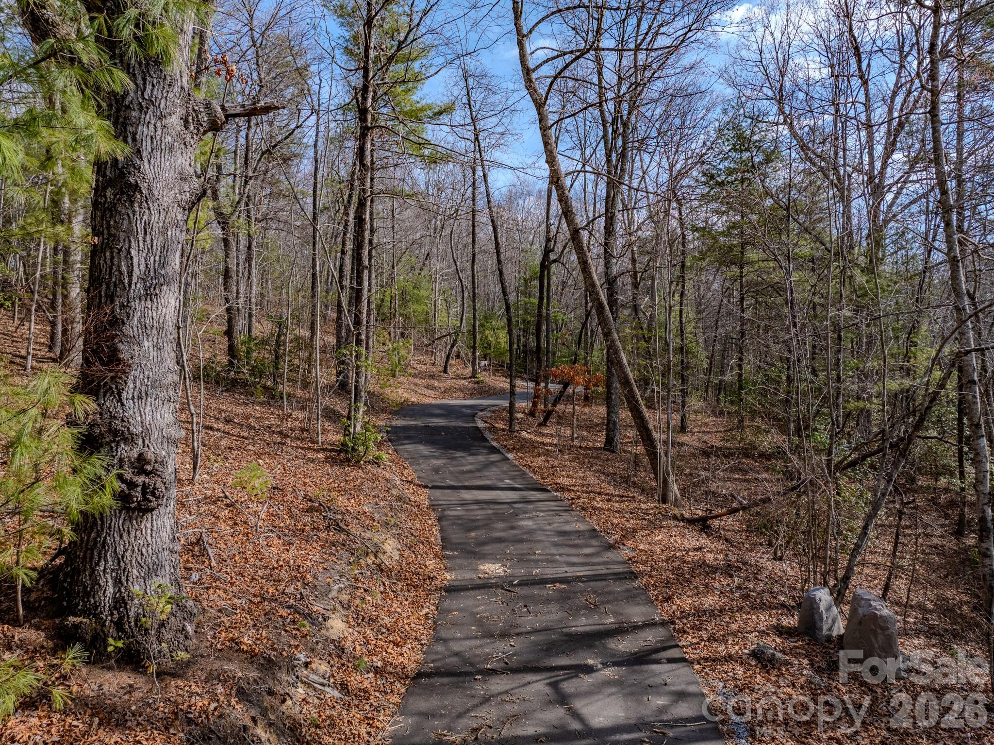 2201 Bulling Creek Road Hendersonville, NC 28739 - Photo 40 of 47