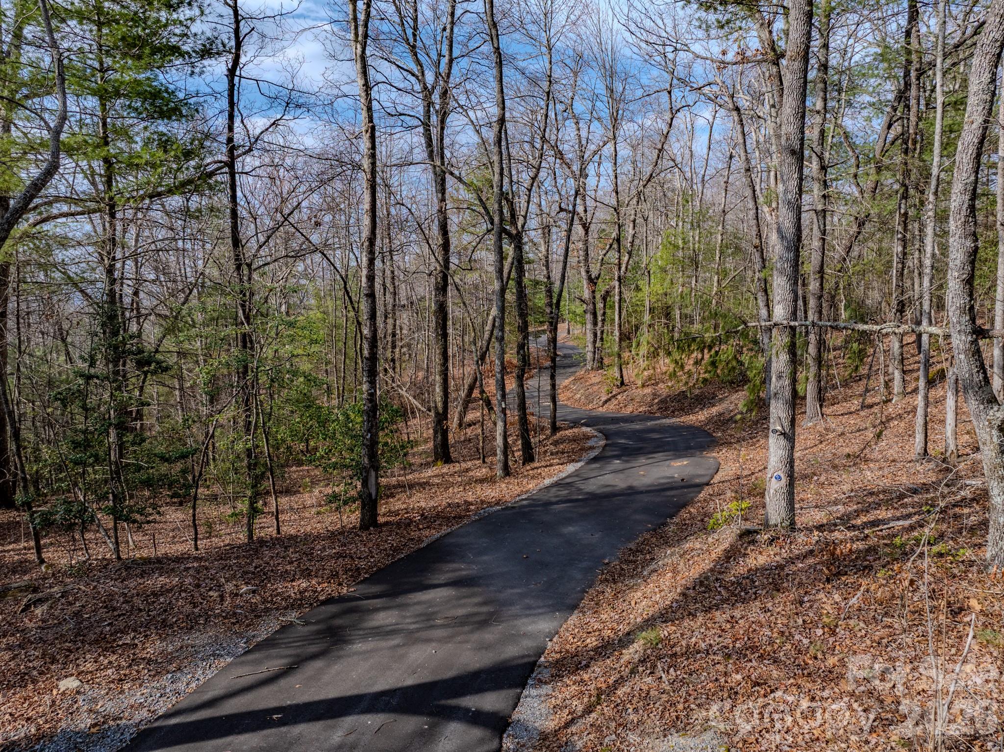 2201 Bulling Creek Road Hendersonville, NC 28739 - Photo 41 of 47 a view of a forest filled with trees