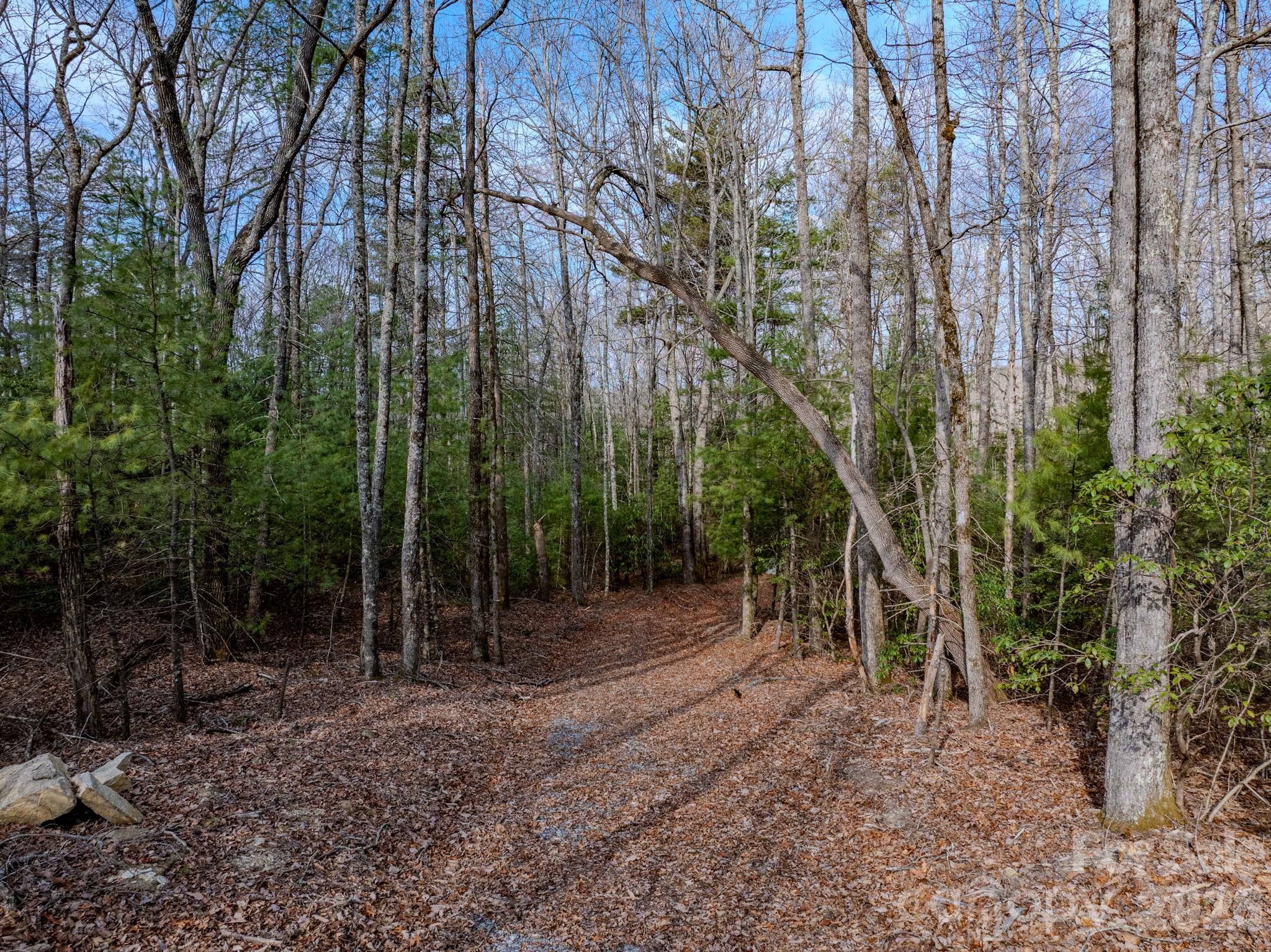 2201 Bulling Creek Road Hendersonville, NC 28739 - Photo 42 of 47 a view of outdoor space with trees