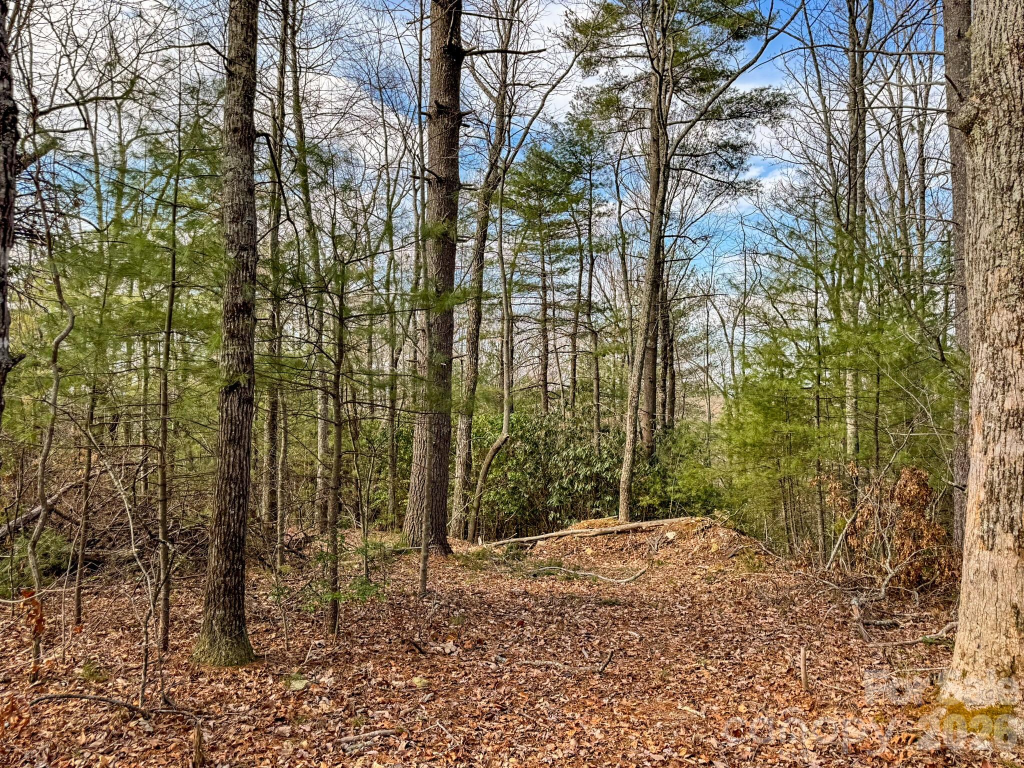 2201 Bulling Creek Road Hendersonville, NC 28739 - Photo 43 of 47 a view of a garden
