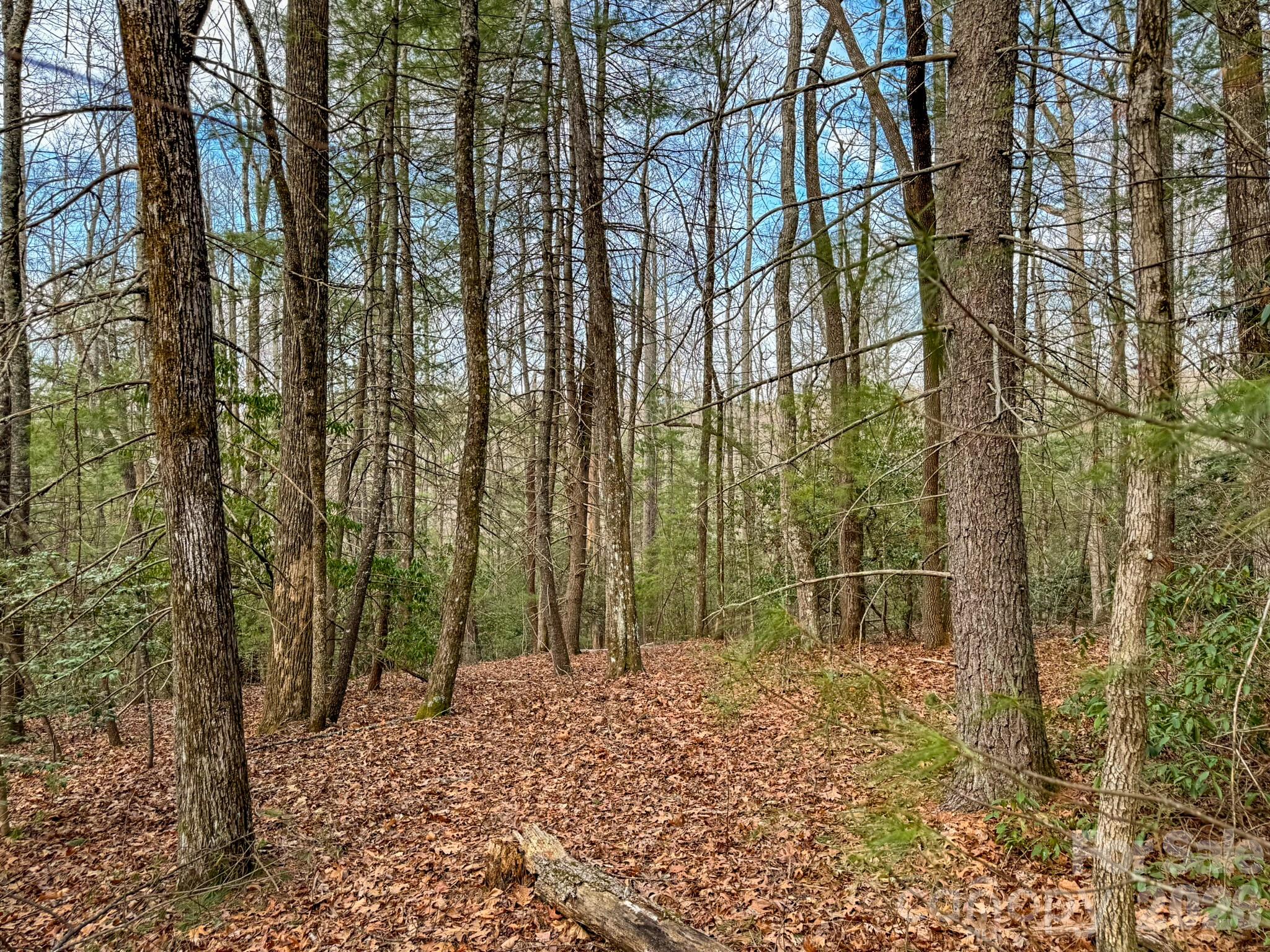 2201 Bulling Creek Road Hendersonville, NC 28739 - Photo 46 of 47 a backyard of a house with lots of green space
