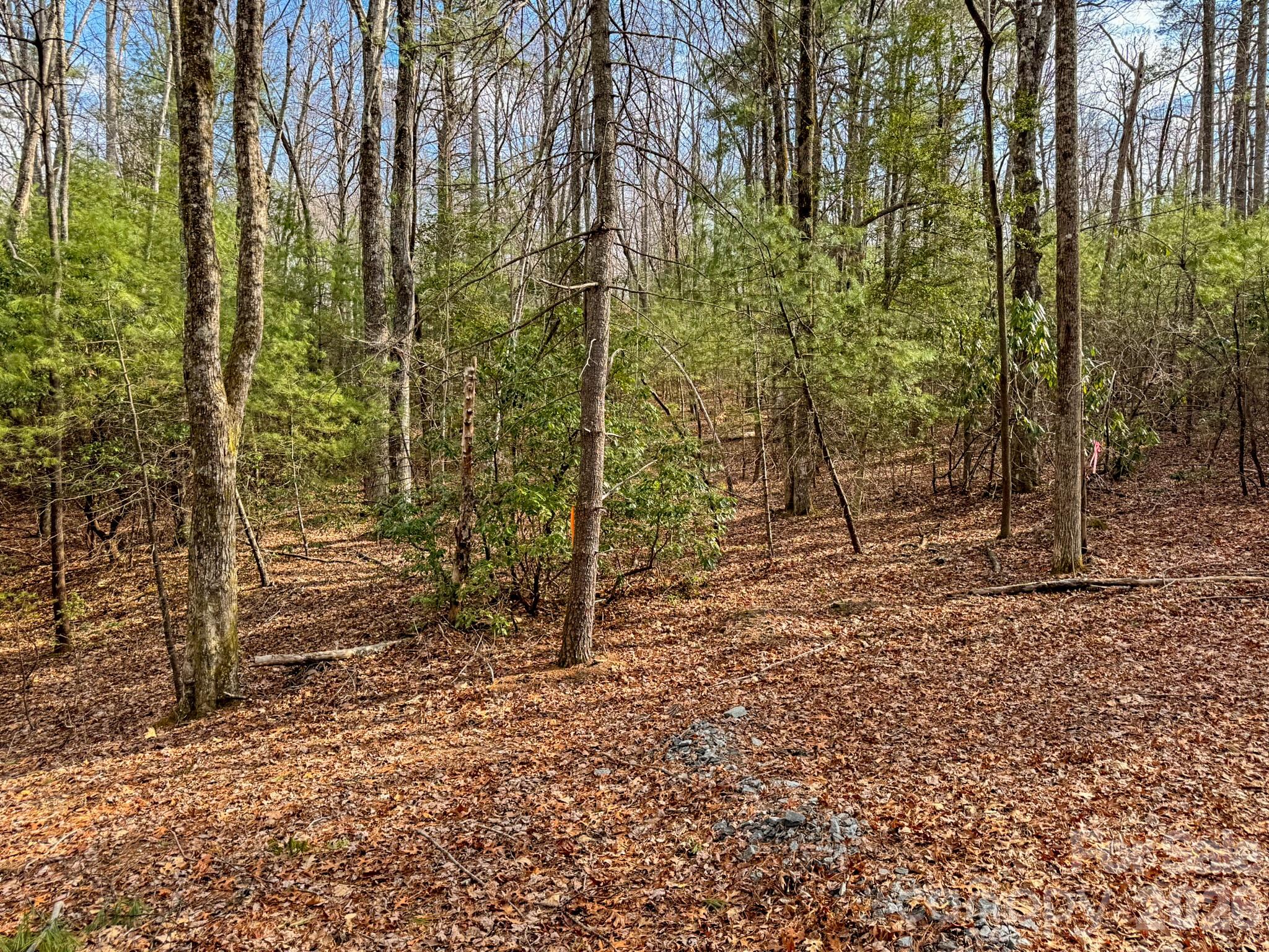 2201 Bulling Creek Road Hendersonville, NC 28739 - Photo 47 of 47 a backyard of a house with lots of green space
