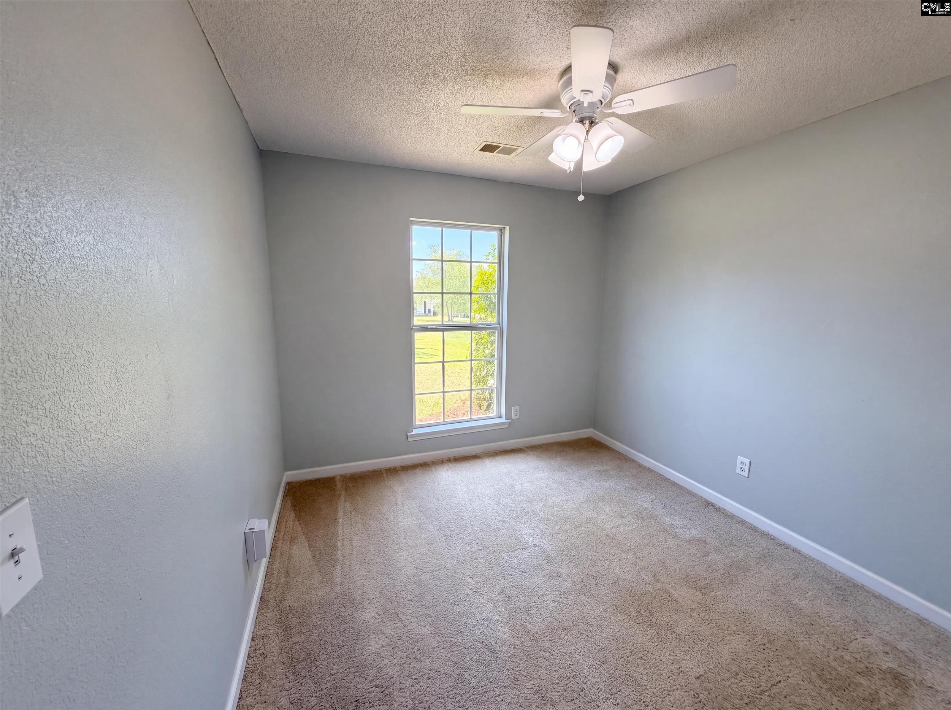 3 Summer Branch Court Irmo, SC 29063 - Photo 16 of 28