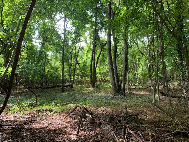 D Cheriton Cross Road, Unit D Cape Charles, VA 23310 - Photo 19 of 37