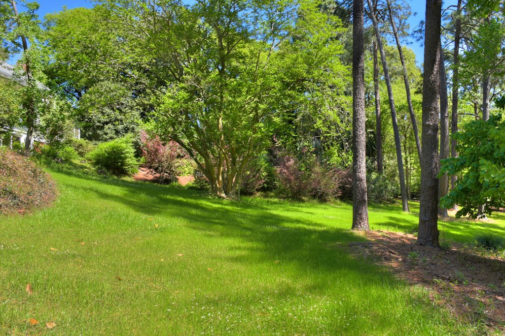 362 Hillcrest Road Aiken, SC 29801 - Photo 35 of 35