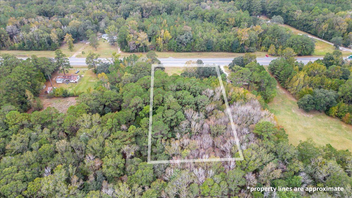 13220 East Oglethorpe Highway Midway, GA 31320 - Photo 4 of 11 a view of a garden with a lake