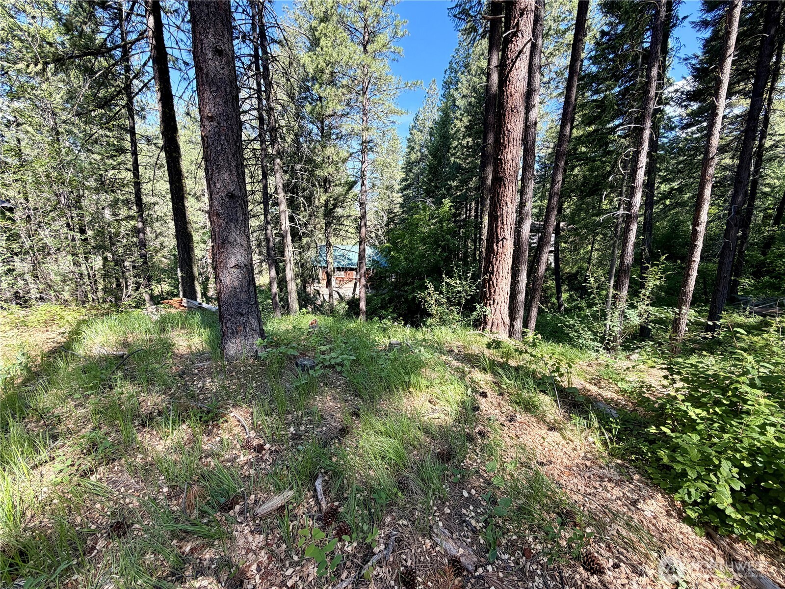 11 Highland Mdw Road Winthrop, WA 98862 - Photo 9 of 25 a view of backyard with green space