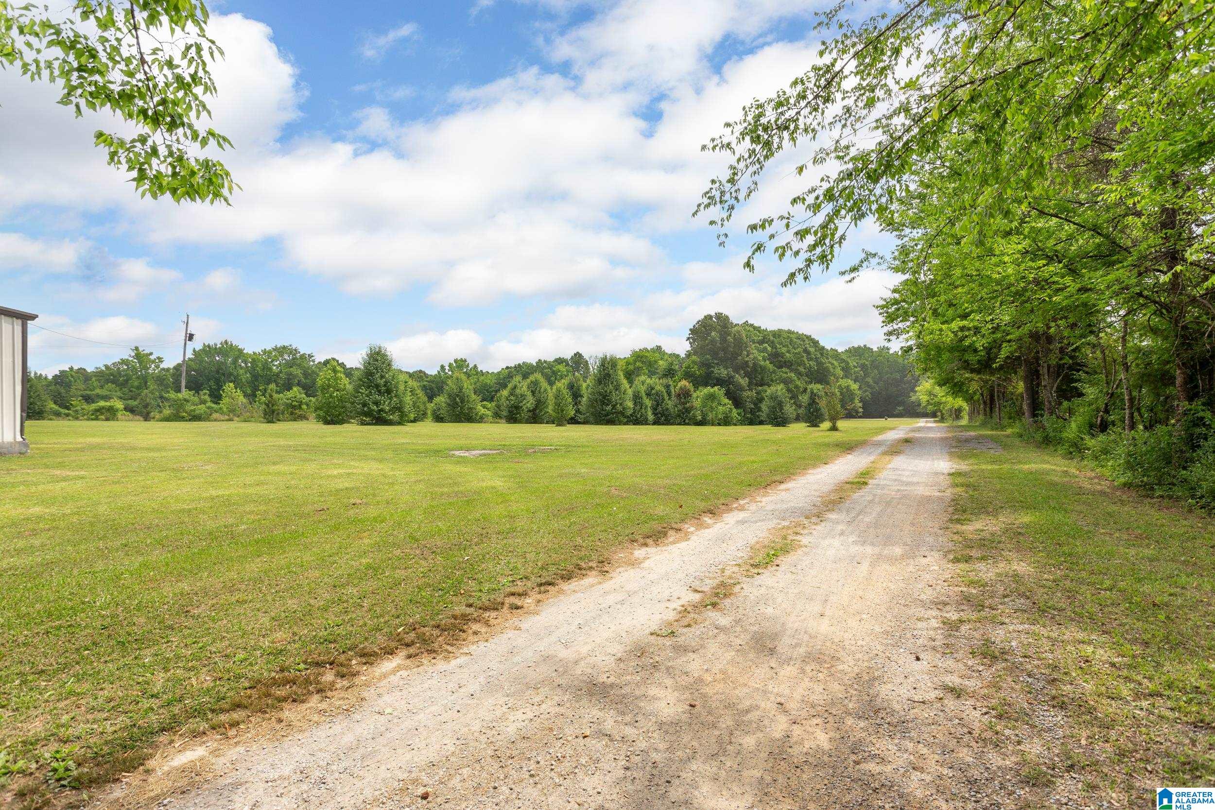 544 Fann Road Steele, AL 35987 - Photo 52 of 84