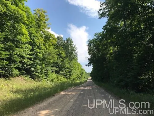$585,650 | Tbd Rock River Road, Deerton, MI 49822